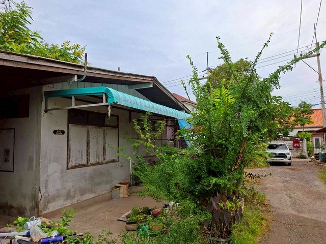 รูป J0899 ขายบ้านเดี่ยว หนองแก อำเภอหัวหิน ประจวบคีรีขันธ์ - รูปที่ 1/8