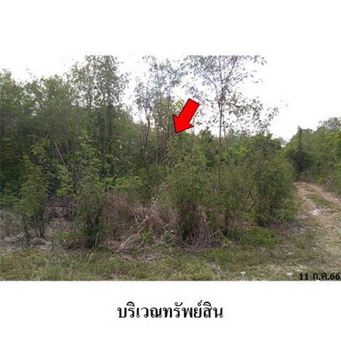 รูป Z1T0088 ขายที่ดินเปล่า ตำบล บ้านกร่าง อำเภอ ศรีประจันต์ จังหวัด สุพรรณบุรี - รูปที่ 8/8