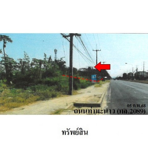 รูป ZLTR014 ขายที่ดินเปล่า ตำบล ลำนารายณ์ อำเภอ ชัยบาดาล จังหวัด ลพบุรี - รูปที่ 2/8