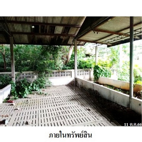 รูป Z1T0093 ขายโกดังเลี้ยงสัตว์ ตำบล บ้านกร่าง อำเภอ ศรีประจันต์ จังหวัด สุพรรณบุรี - รูปที่ 3/8