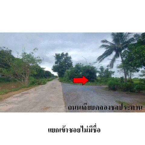 รูป ZLL0097 ขายที่ดินเปล่า ตำบล โพสังโฆ อำเภอ ค่ายบางระจัน จังหวัด สิงห์บุรี - รูปที่ 7/8