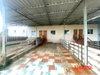 listing thumbnail image 37