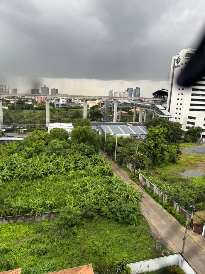 picture Pet Friendly - Le Celeste Rama 9 Srinakarin - 0834746361 Line @966veldg - 10/16