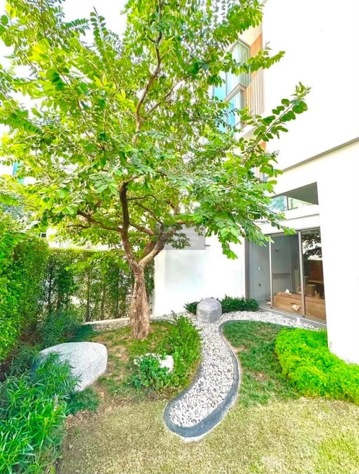 รูป ขายบ้าน  วีเว่ กรุงเทพกรีฑา รีโนเวทใหม่ ทับช้าง เขต สะพานสูง กรุงเทพ CX-172974 ✅ ทักไลน์ @connexproperty ตอบทันที ทีมงานมืออาชีพ ✅ - รูปที่ 10/10