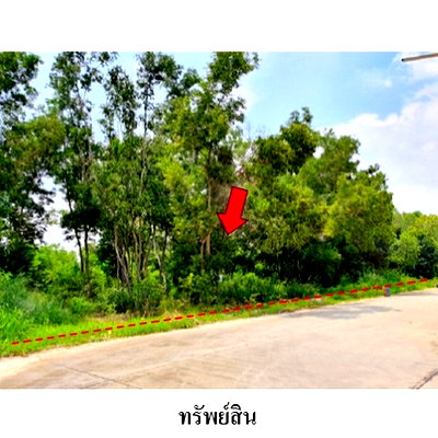 ที่ดิน เมืองระยอง ระยอง : Z8Z6224 ขายที่ดินเปล่า สวนวลีแลนด์ 4 ตำบล ทับมา อำเภอ เมืองระยอง จังหวัด ระยอง
