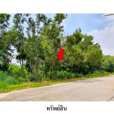 รูป Z8Z6224 ขายที่ดินเปล่า สวนวลีแลนด์ 4 ตำบล ทับมา อำเภอ เมืองระยอง จังหวัด ระยอง - รูปที่ 1/8