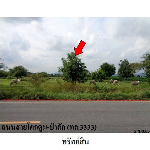 รูป Z8Z6348 ขายที่ดินเปล่า ตำบล ดีลัง อำเภอ พัฒนานิคม จังหวัด ลพบุรี - รูปที่ 5/8