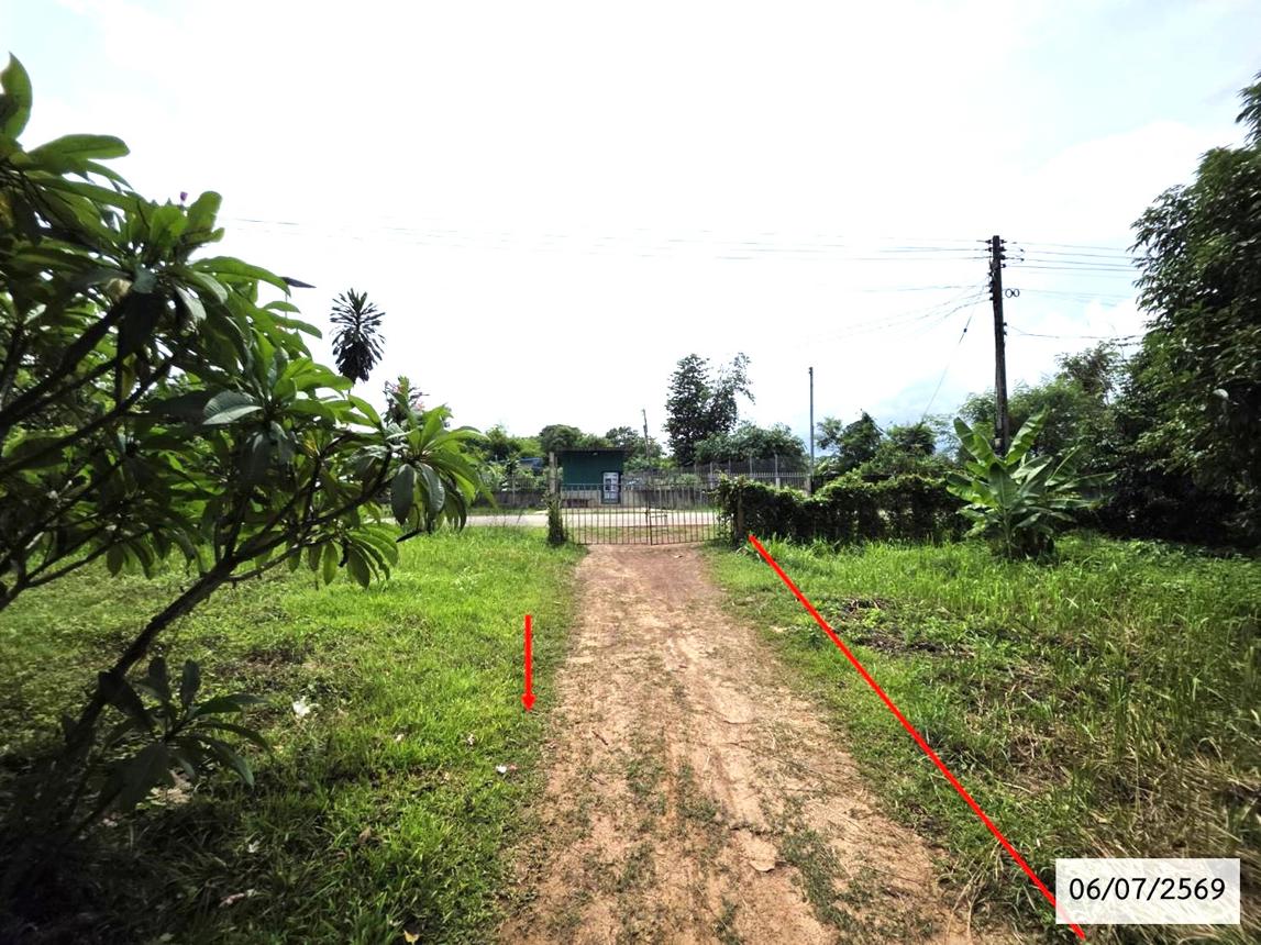 picture LAND 336 Sq.w. That Phanom Nakhon Phanom for 1.1M - 11/21