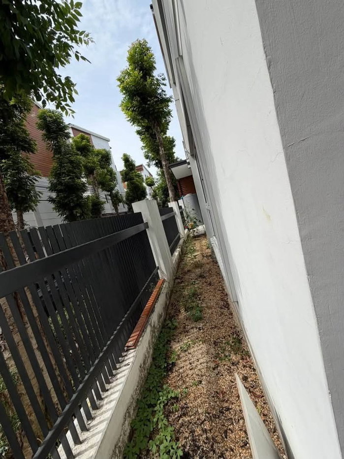รูป 🏡✨ ให้เช่า ทาวน์โฮม 4 ชั้น The Sereno Townhome by Bonanza – แจ้งวัฒนะ 15 3 ห้องนอน 3 ห้องน้ำ หลังมุม ใจกลางแจ้งวัฒนะ  - รูปที่ 4/20