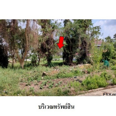 รูป Z8Z4747 ขายที่ดิน โครงการ รอยัลปาร์คแลนด์ ตำบล ไทรม้า อำเภอ เมืองนนทบุรี จังหวัด นนทบุรี - รูปที่ 4/8