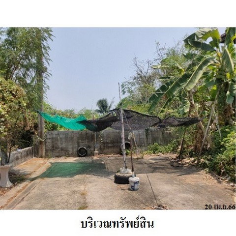 รูป Z4T0929 ขายที่ดิน โครงการ พร้อมจิตร ตำบล บางม่วง อำเภอ บางใหญ่ จังหวัด นนทบุรี - รูปที่ 7/8
