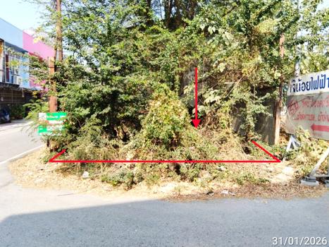 picture LAND 14.3 Sq.w. Chalermphrakiet Saraburi for 122,000 - 10/13