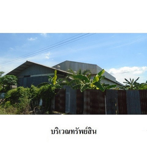 รูป Z3A0288 ขายโกดัง ตำบล บ้านกร่าง อำเภอ ศรีประจันต์ จังหวัด สุพรรณบุรี - รูปที่ 2/8