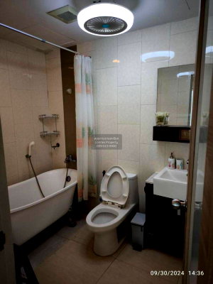 Condos for rent : For Rent Condo , Renova Residence , BTS-Phloen Chit , Lumpini , Pathum Wan , Bangkok , CX-107879 ✅ Live chat with us ADD LINE @connexproperty ✅