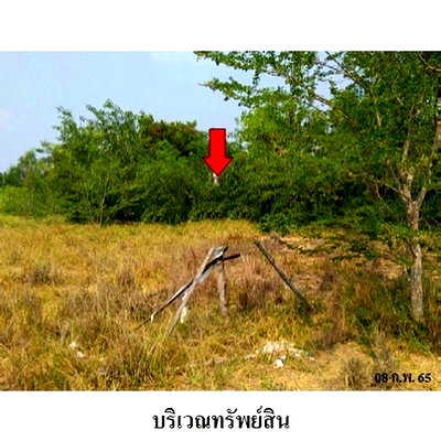 ที่ดิน บางปลาม้า สุพรรณบุรี : Z2T1093 ขายที่ดินเปล่า ตำบล สาลี อำเภอ บางปลาม้า จังหวัด สุพรรณบุรี