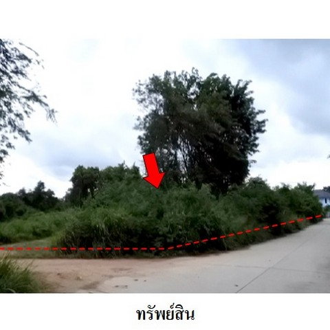 รูป Z8Z6442 ขายที่ดินเปล่า สวนวลีแลนด์ 4 ตำบล ทับมา อำเภอ เมืองระยอง จังหวัด ระยอง - รูปที่ 5/8