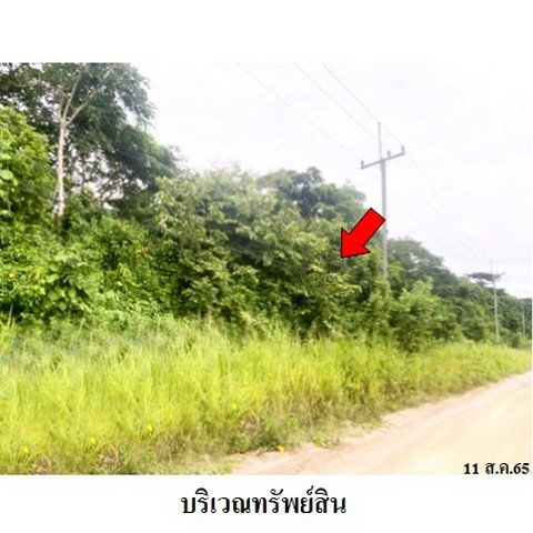 รูป Z3A1496 ขายที่ดินเปล่า ตำบล มะขามคู่ อำเภอ นิคมพัฒนา จังหวัด ระยอง - รูปที่ 4/8