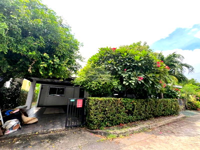 Houses for rent Bangkok : For Rent House , Sammakorn Ramkhamhaeng 110 , Saphan Sung , Saphan Sung , Bangkok , CX-172939 ✅ Live chat with us ADD LINE @connexproperty ✅
