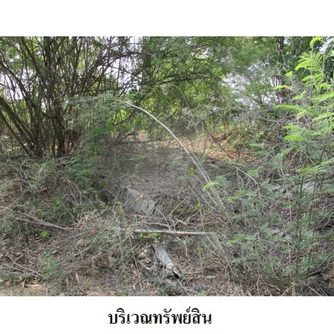 รูป Z8Z4670 ขายที่ดิน ตำบล ราษฎร์นิยม อำเภอ ไทรน้อย จังหวัด นนทบุรี - รูปที่ 4/8