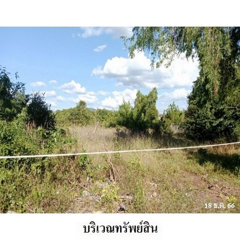 รูป Z8Z4873 ขายที่ดินเปล่า ตำบล ตะพง อำเภอ เมืองระยอง จังหวัด ระยอง - รูปที่ 3/8