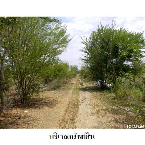 รูป Z2T1093 ขายที่ดินเปล่า ตำบล สาลี อำเภอ บางปลาม้า จังหวัด สุพรรณบุรี - รูปที่ 3/8