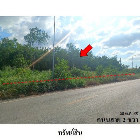 รูป Z3A1843 ขายที่ดินเปล่า ตำบล ช่องสาริกา อำเภอ พัฒนานิคม จังหวัด ลพบุรี - รูปที่ 3/8