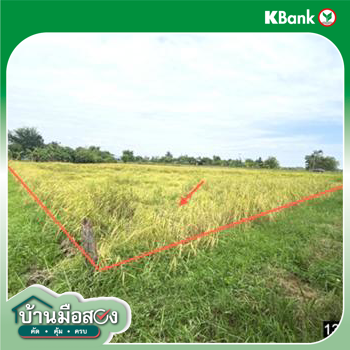 รูป ที่ดินว่างเปล่า 400 ตร.วา เมืองกาฬสินธุ์ กาฬสินธุ์ 1M - รูปที่ 13/15
