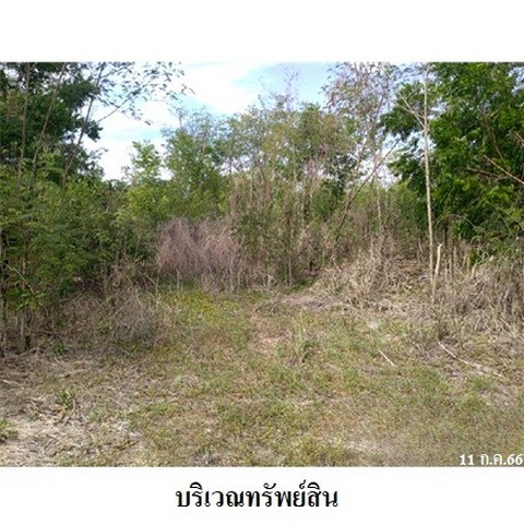 รูป Z1T0088 ขายที่ดินเปล่า ตำบล บ้านกร่าง อำเภอ ศรีประจันต์ จังหวัด สุพรรณบุรี - รูปที่ 5/8