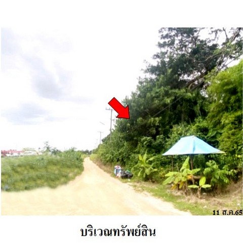 รูป Z3A1496 ขายที่ดินเปล่า ตำบล มะขามคู่ อำเภอ นิคมพัฒนา จังหวัด ระยอง - รูปที่ 5/8