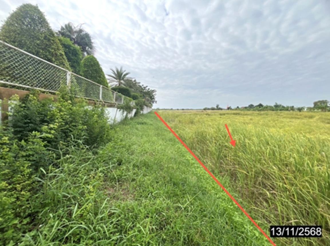รูป ที่ดินว่างเปล่า 400 ตร.วา เมืองกาฬสินธุ์ กาฬสินธุ์ 1M - รูปที่ 8/15