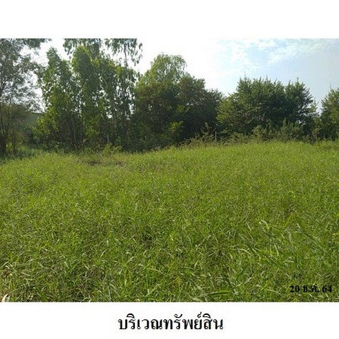 รูป Z8Z6979 ขายที่ดินเปล่า ตำบล ท่าระหัด อำเภอ เมืองสุพรรณบุรี จังหวัด สุพรรณบุรี - รูปที่ 4/8
