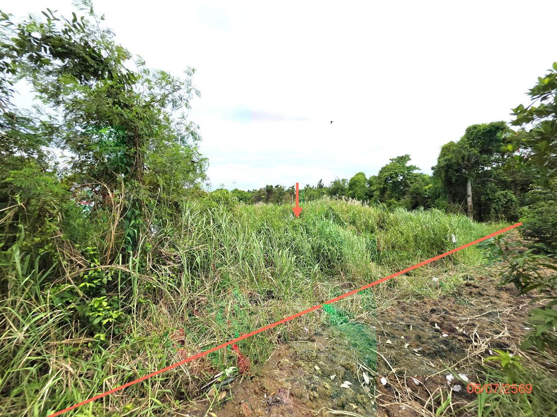 picture LAND 1134.9 Sq.w. Muang Nonthaburi Nonthaburi for 17.5M - 9/15