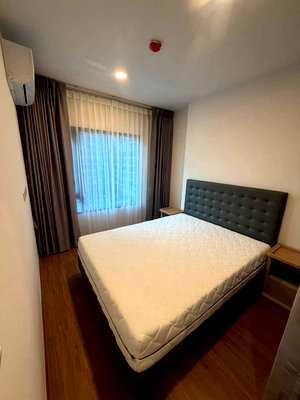 Condos for rent : ✅ TLVN118 ✅ Line : @p2nproperty