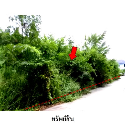ที่ดิน เมืองระยอง ระยอง : Z8Z6443 ขายที่ดินเปล่า สวนวลีแลนด์ 4 ตำบล ทับมา อำเภอ เมืองระยอง จังหวัด ระยอง