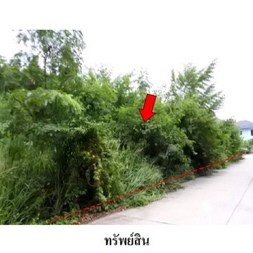 Z8Z6443 ขายที่ดินเปล่า สวนวลีแลนด์ 4 ตำบล ทับมา อำเภอ เมืองระยอง จังหวัด ระยอง