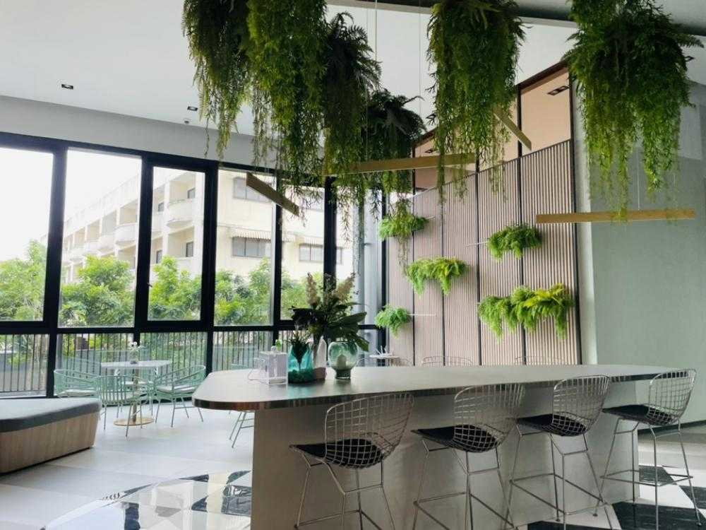 picture For Rent : Niche Mono Mega Space Bangna - 30/31