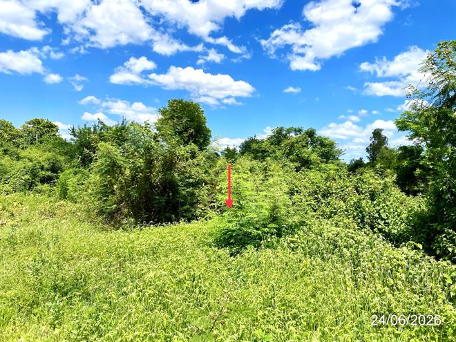 picture LAND 3368 Sq.w. Chon Daen Phetchabun for 5.1M - 6/19
