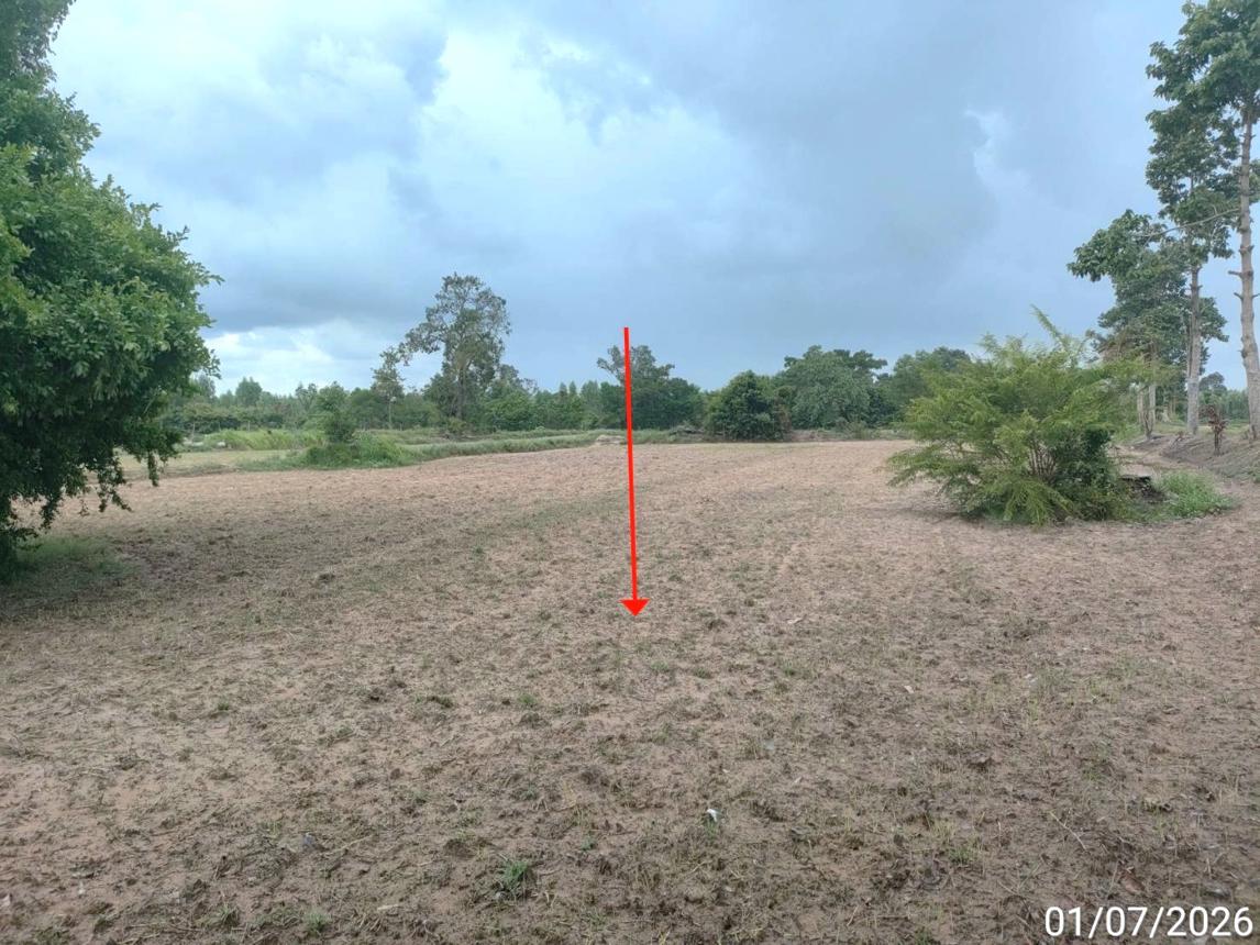 รูป บ้านเดี่ยว 2369 ตร.วา สุวรรณภูมิ ร้อยเอ็ด 1.2M - รูปที่ 14/21