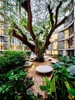listing thumbnail image 28