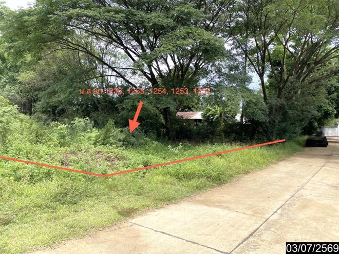 picture FACTORY 2059 Sq.w. Na Klang Nong Bua Lam Phu for 10.8M - 17/41