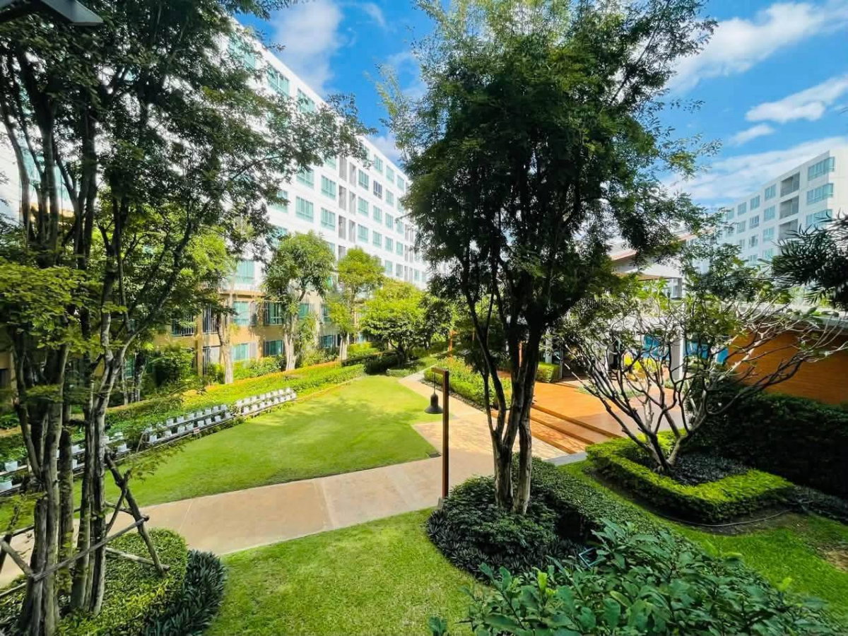 รูป 🔥 D condo Nim ติดเซ็นเฟส ปล่อยเช่า 20,000 บาท #พร้อมเข้าอยู่  - รูปที่ 14/22