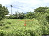 listing thumbnail image 13
