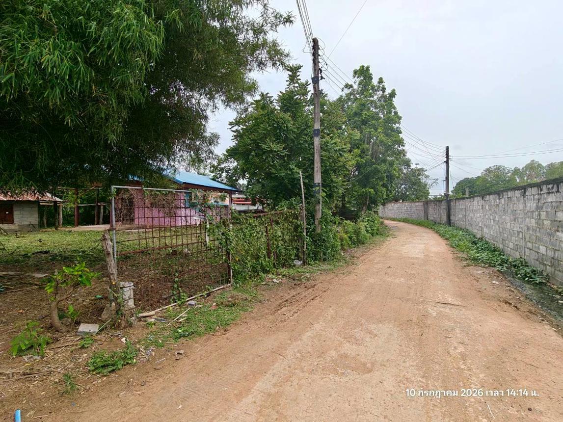 รูป บ้านเดี่ยว 374 ตร.วา ฆ้องชัย กาฬสินธุ์ 865,000 - รูปที่ 16/31