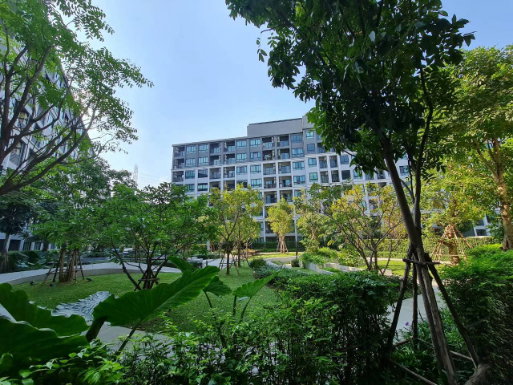 รูป ให้เช่า ดีคอนโด ไฮด์อเวย์ รังสิต ใกล้ ม.ธรรมศาสตร์ ถนนเชียงราก 1ห้องนอน พร้อมอยู่ - รูปที่ 15/23