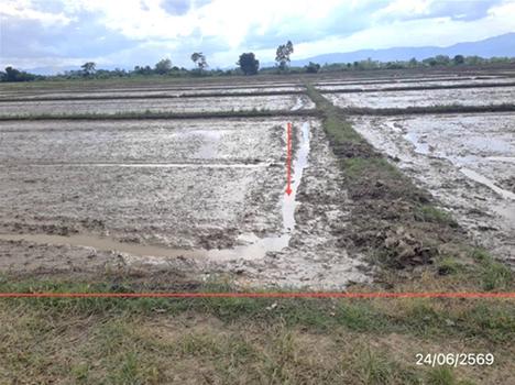 picture LAND 5450 Sq.w. Mae Chan Chiang Rai for 2.6M - 16/19