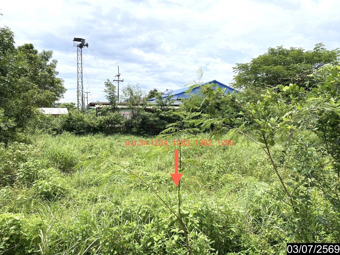 picture FACTORY 2059 Sq.w. Na Klang Nong Bua Lam Phu for 10.8M - 32/41