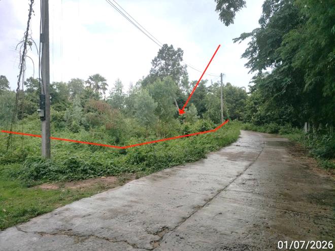รูป บ้านเดี่ยว 2369 ตร.วา สุวรรณภูมิ ร้อยเอ็ด 1.2M - รูปที่ 9/21
