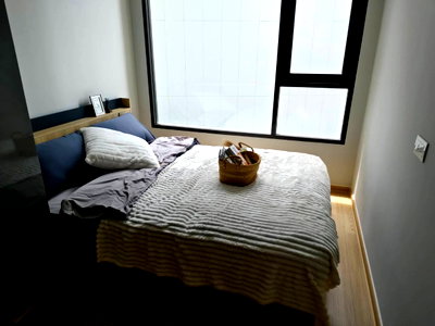 คอนโดให้เช่า : เช่าคอนโด Skyrise Avenue Sukhumvit 64/สกายไรส์ อเวนิว สุขุมวิท 64 (M6909014)