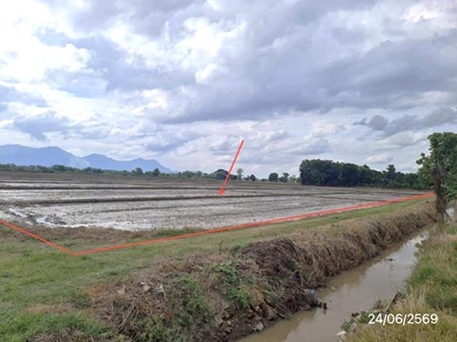 picture LAND 5450 Sq.w. Mae Chan Chiang Rai for 2.6M - 4/19