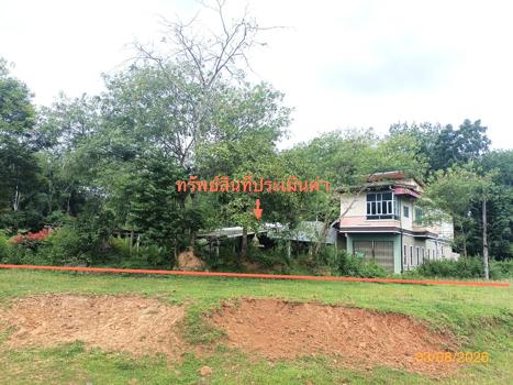 รูป บ้านเดี่ยว 888.4 ตร.วา เมืองตรัง ตรัง 4.7M - รูปที่ 42/45